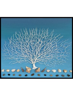 SEAWEED 2