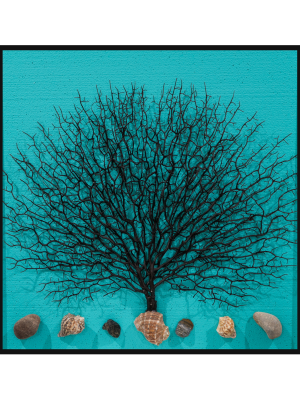 SEAWEED 5